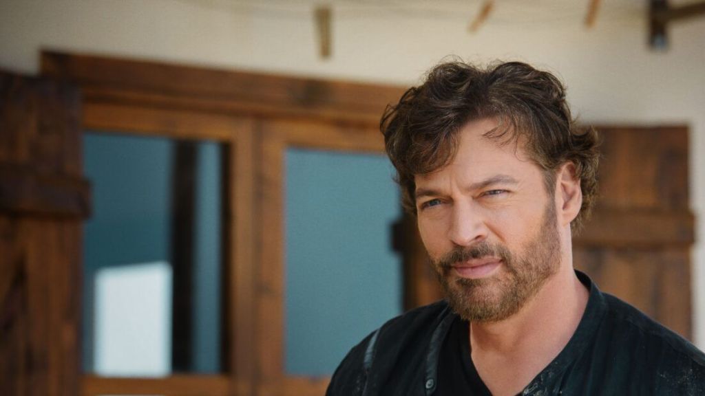 Find Me Falling Film Netflix