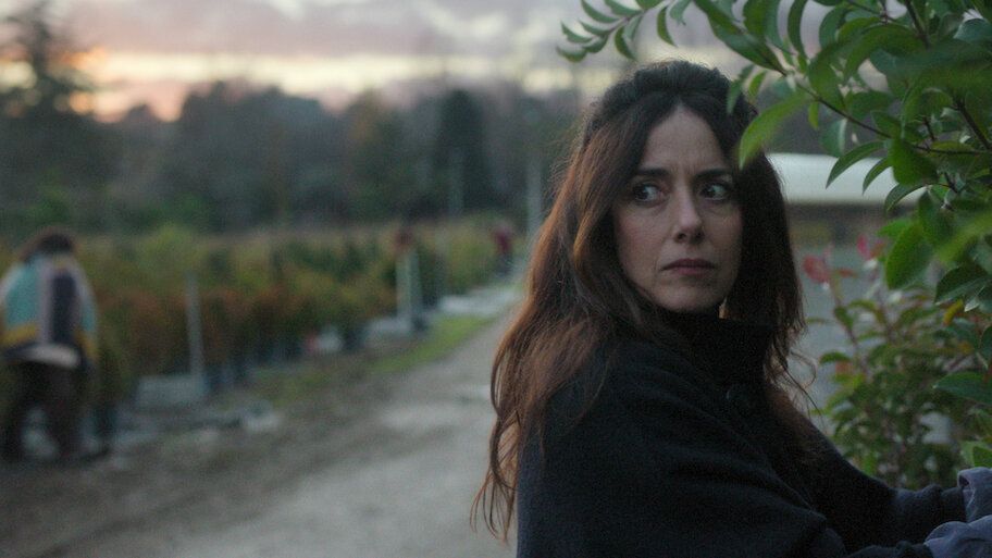 Der Gärtner Netflix Serie 2025