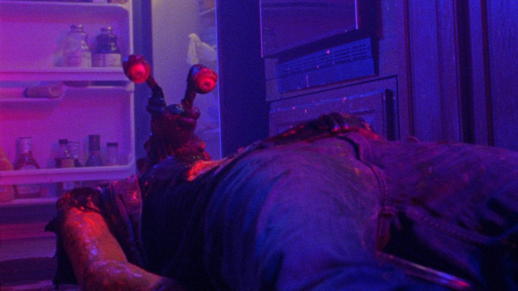 Jimmy and Stiggs Film