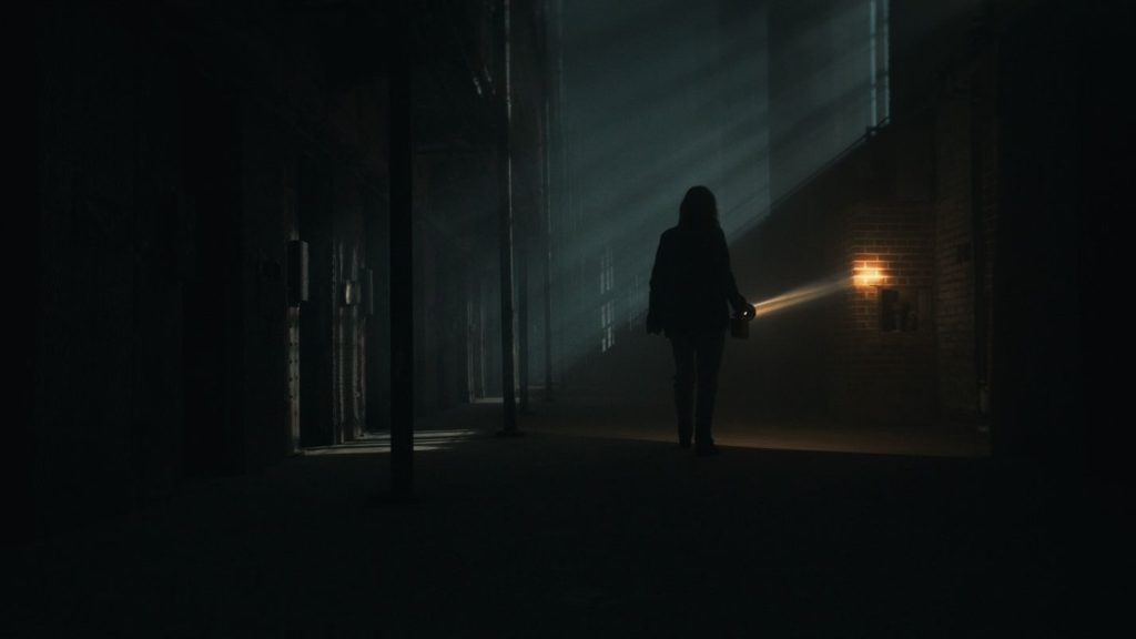 Shelby Oaks Film 2024