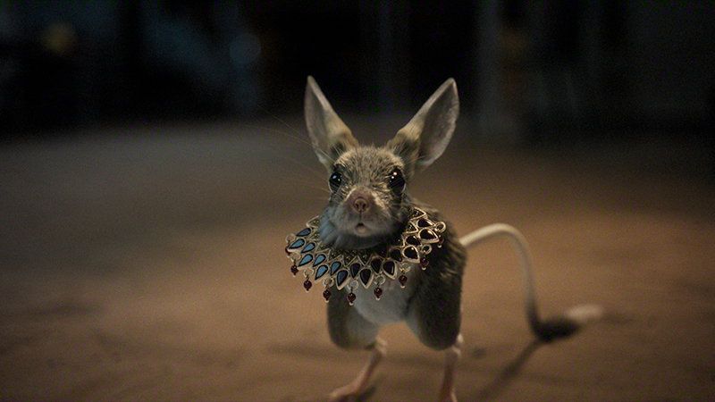 Alkhallat+: The Series Netflix Serie 2026