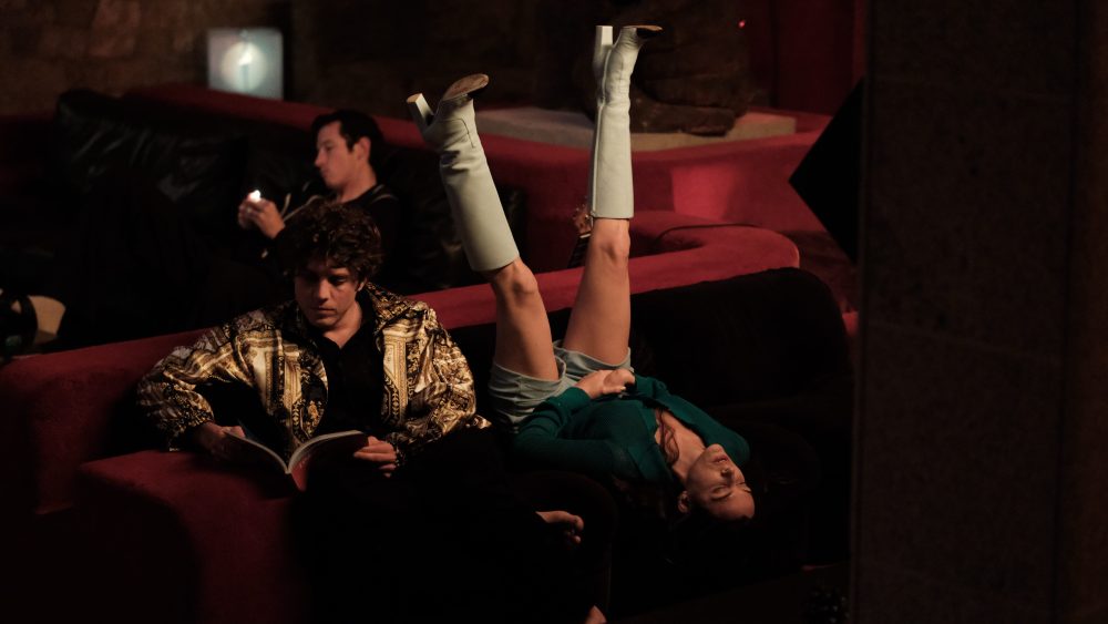 Rosebush Pruning Film 2026