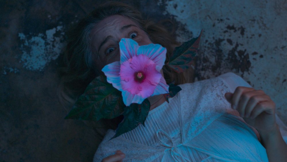 Veins: Kritik zum Film – Botanischer Bodyhorror auf den Fantasy Filmfest&nbsp;Nights