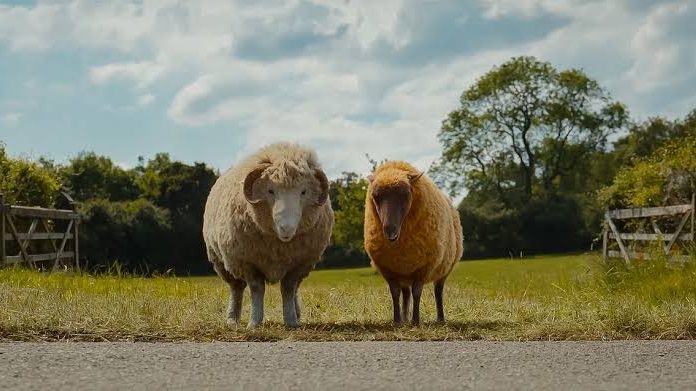 Glennkill: Ein Schafskrimi Amazon Prime Video Film 2026