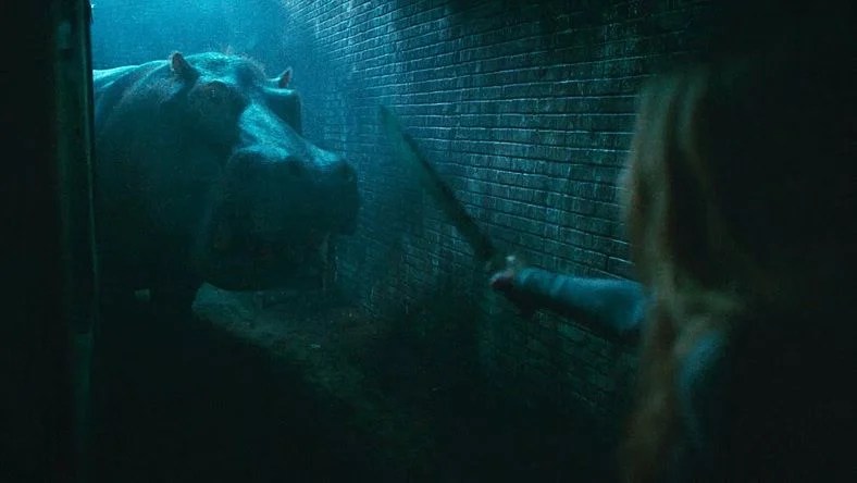 Hungry Film 2026