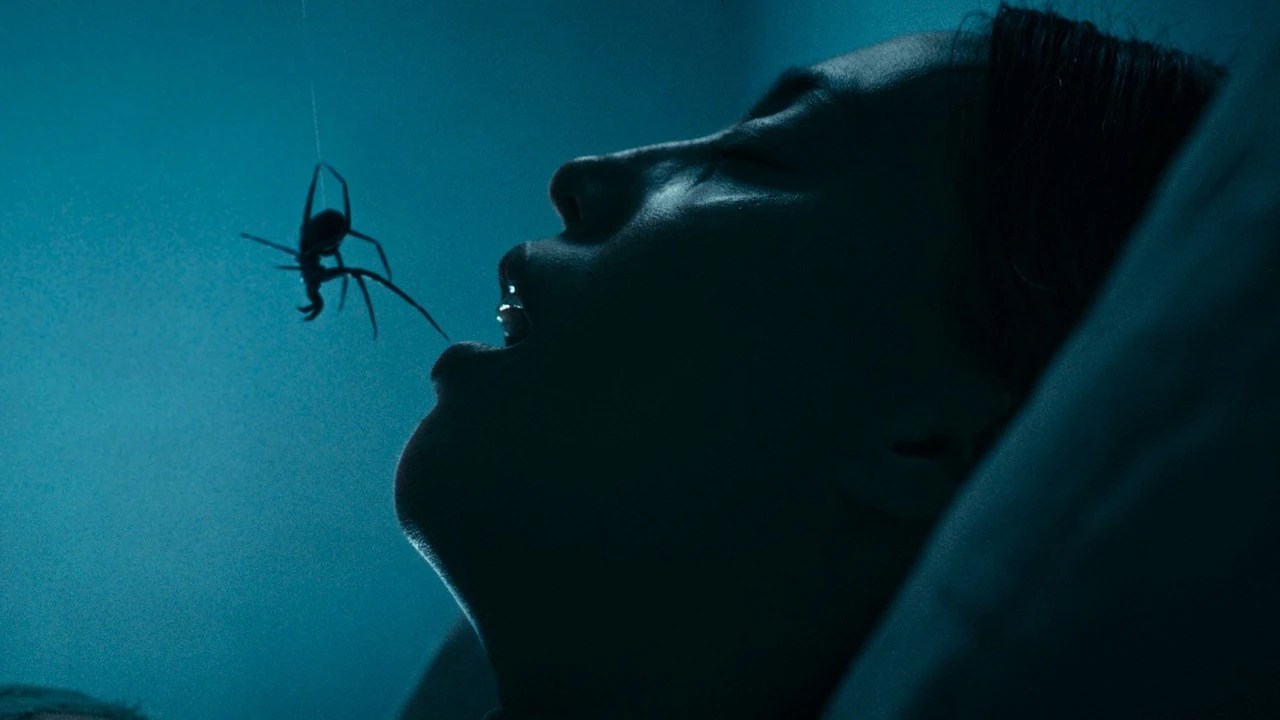 Crawlers – Im Netz der Spinnen Film 2026