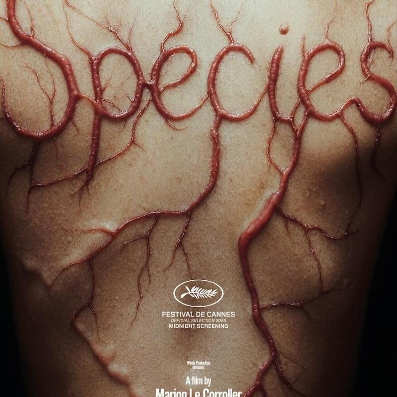 Species | Film – Kritik: Stress, Blut und körperlicher&nbsp;Verfall